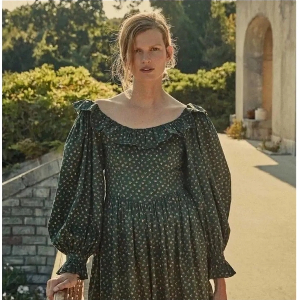 NWT DOEN ZARINA DRESS IN FOREST PARC MONCEAU SIZE L